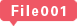 File001