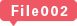 File002