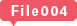 File004
