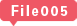 File005